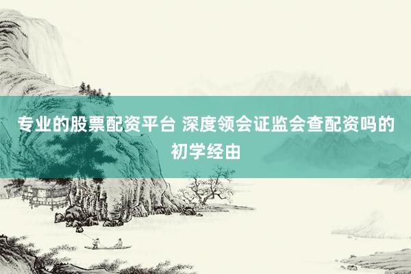 专业的股票配资平台 深度领会证监会查配资吗的初学经由