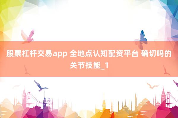 股票杠杆交易app 全地点认知配资平台 确切吗的关节技能_1